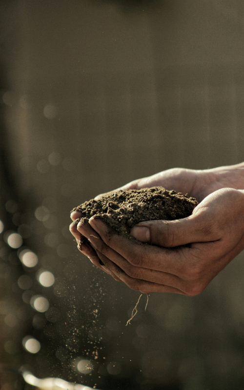 Mains tenant de la terre fertile de producteurs bio en Occitanie