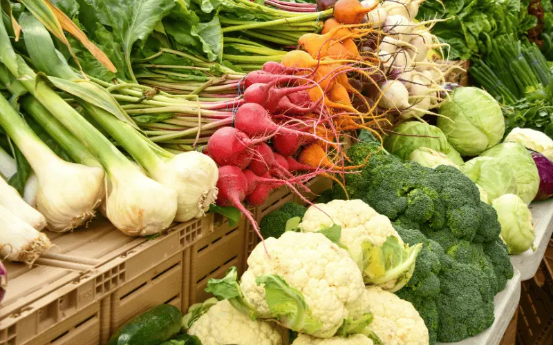 étal de fruits bio colorés – fournisseur bio engagé Alterbio