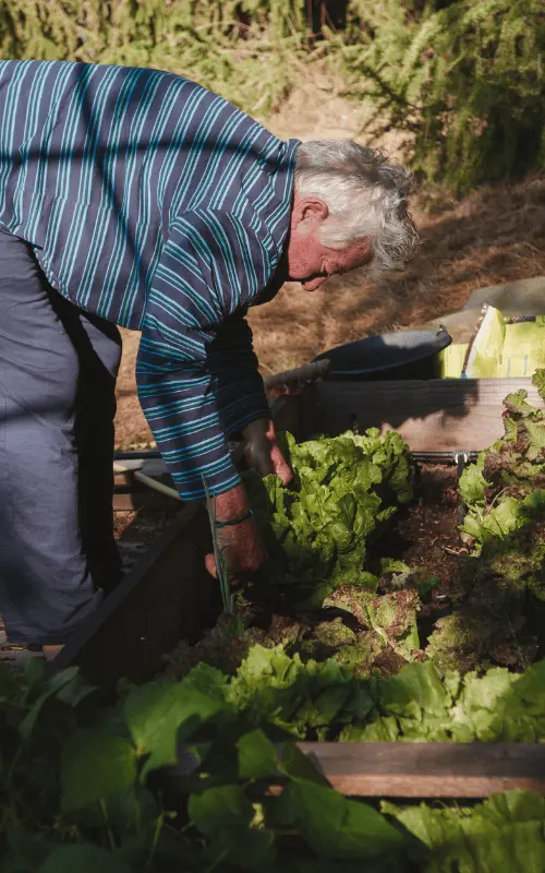 Vieux cultivateur travaillant la terre – fournisseur bio engagé Alterbio